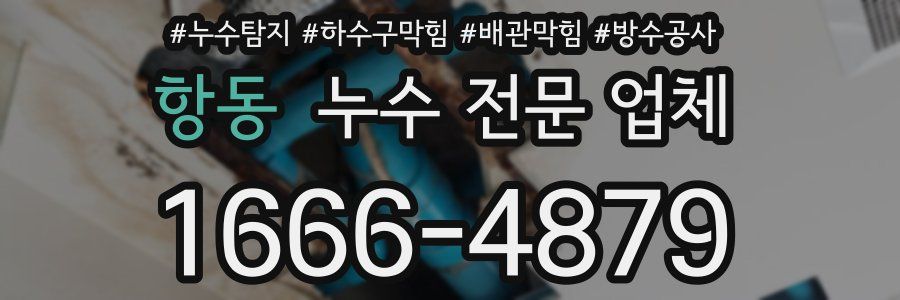 항동 누수 전문 업체
