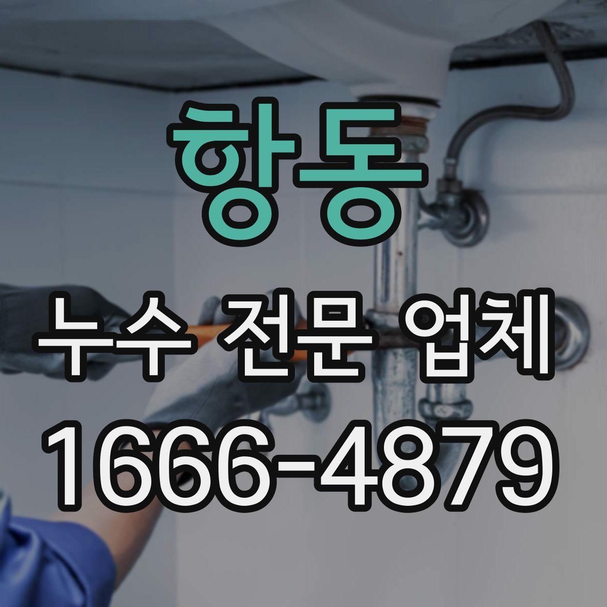 항동 누수 전문 업체