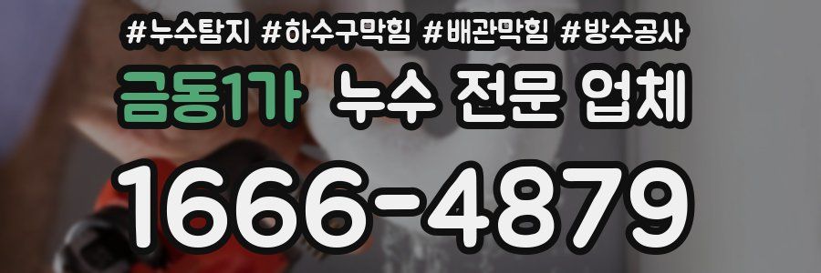 금동1가 누수 전문 업체