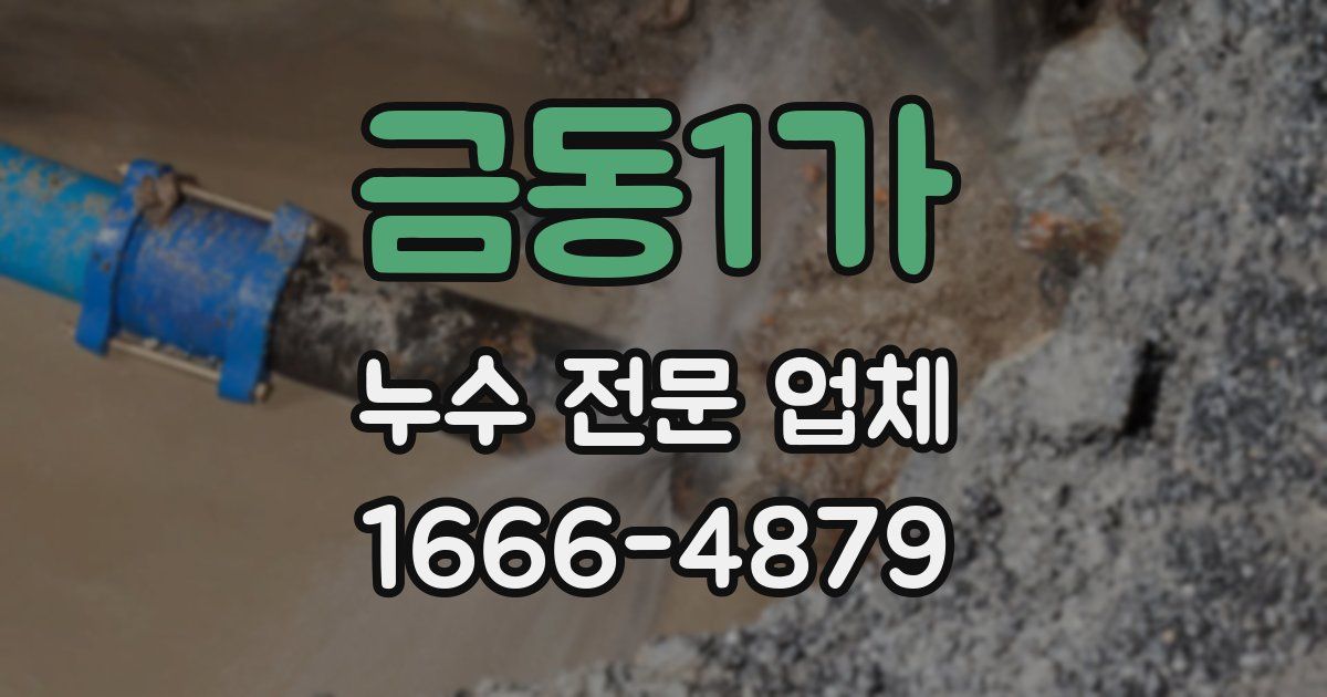 금동1가 누수 전문 업체