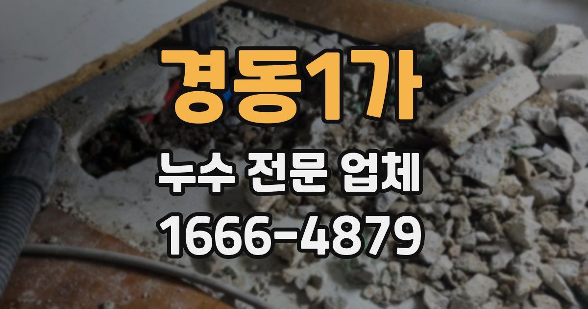 경동1가 누수 전문 업체