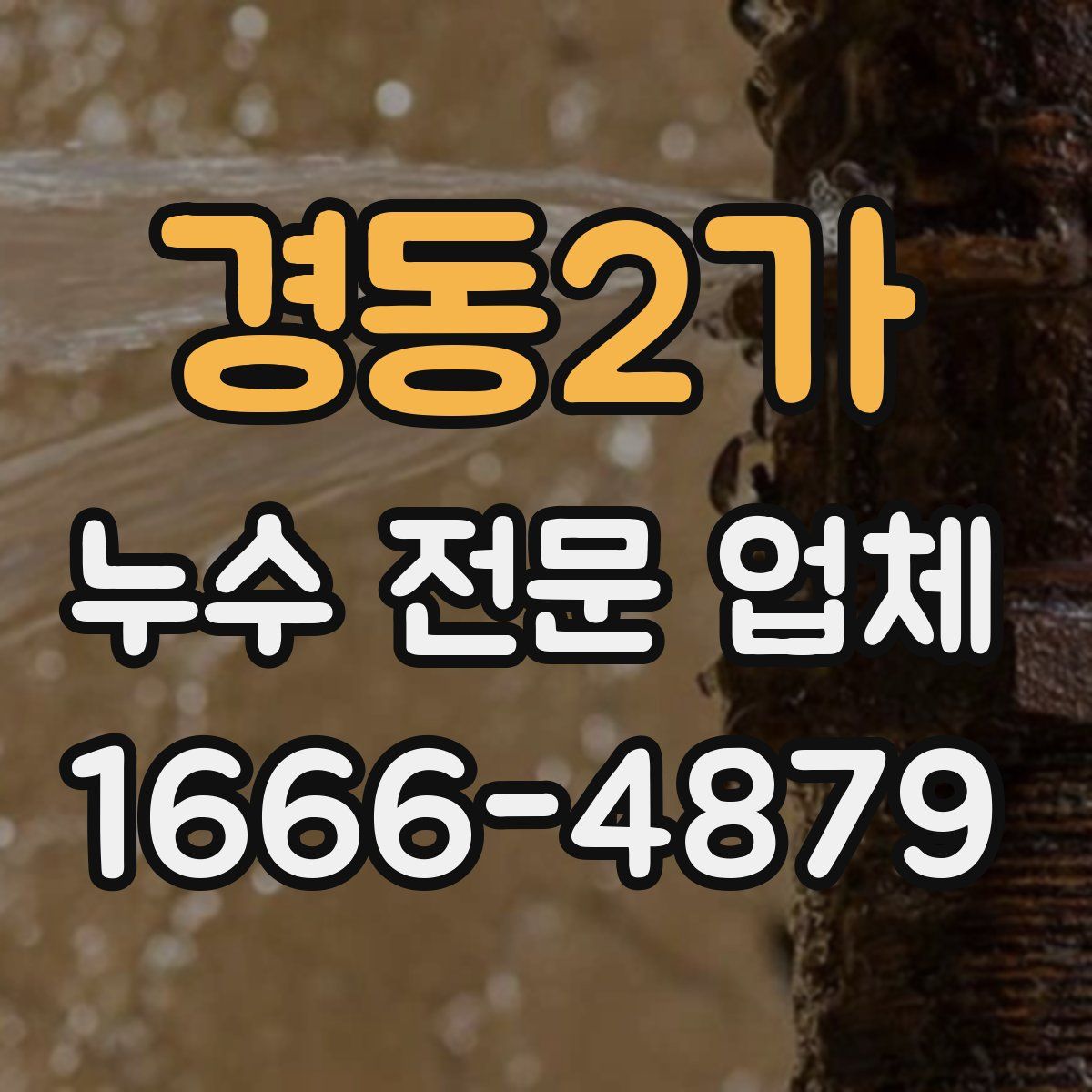경동2가 누수 전문 업체