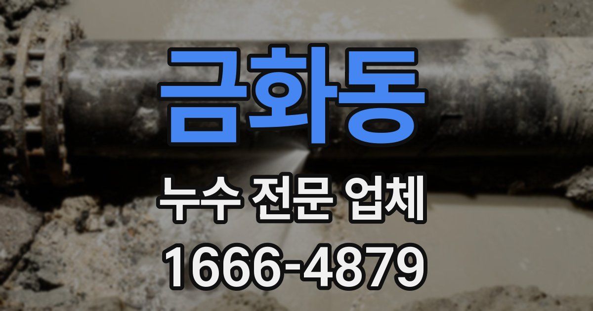 금화동 누수 전문 업체