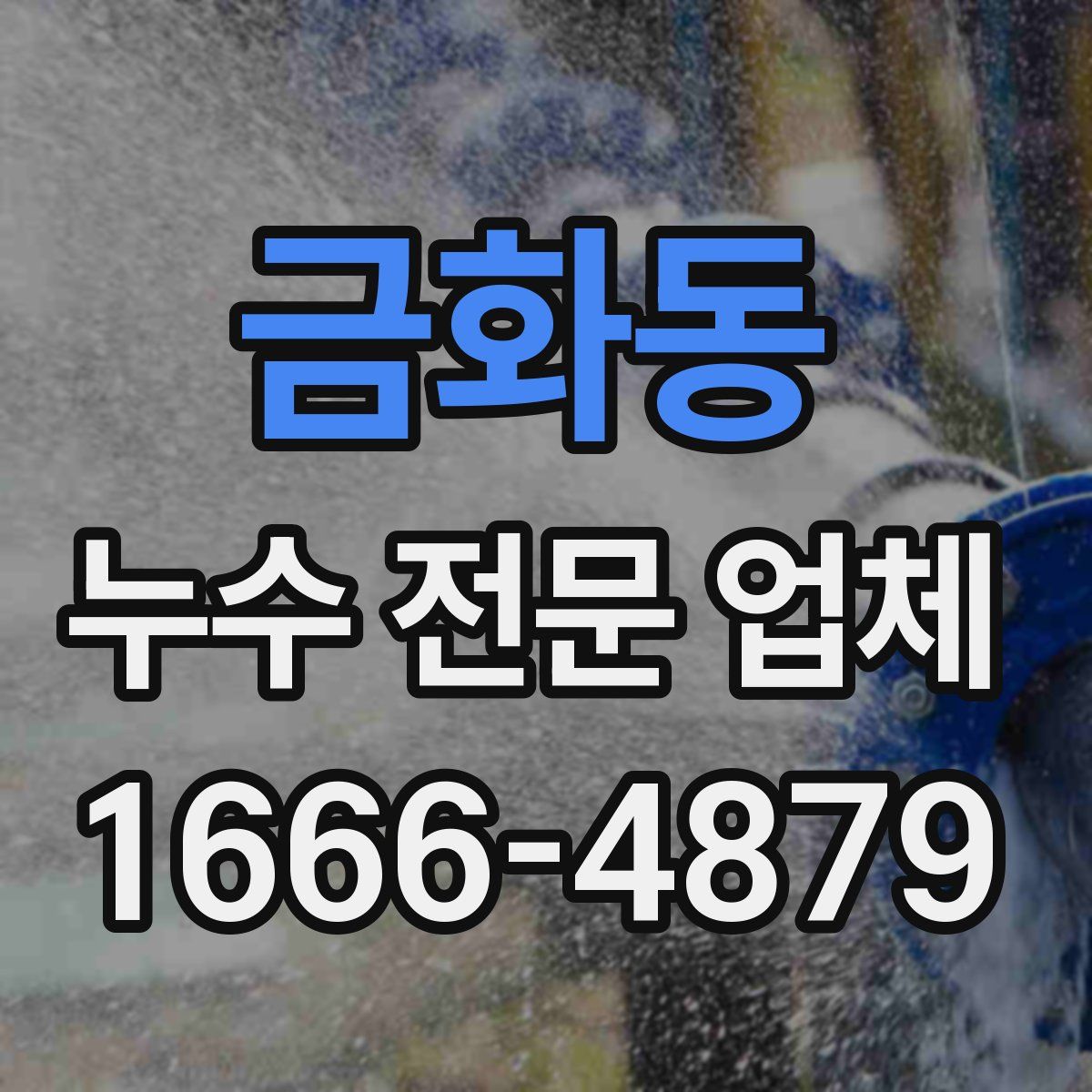 금화동 누수 전문 업체