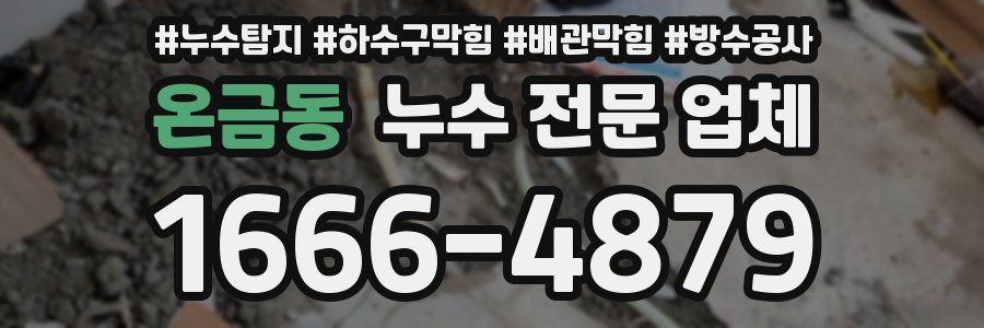 온금동 누수 전문 업체