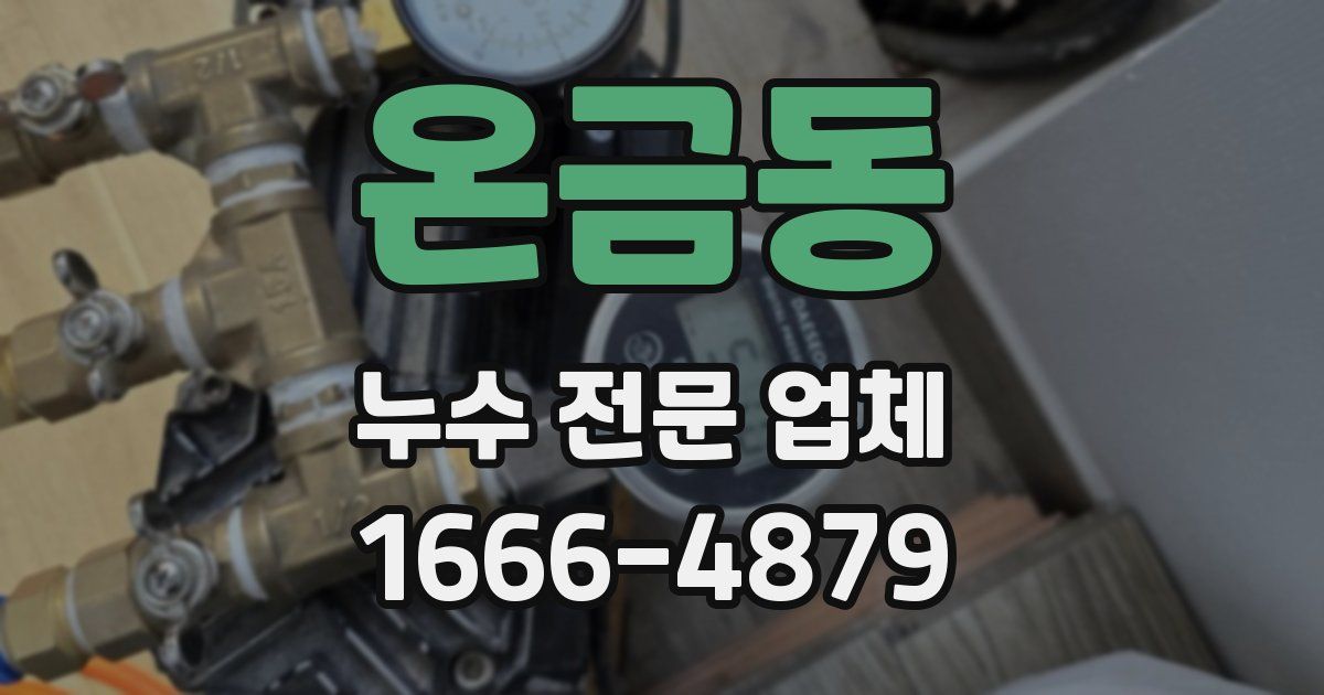 온금동 누수 전문 업체
