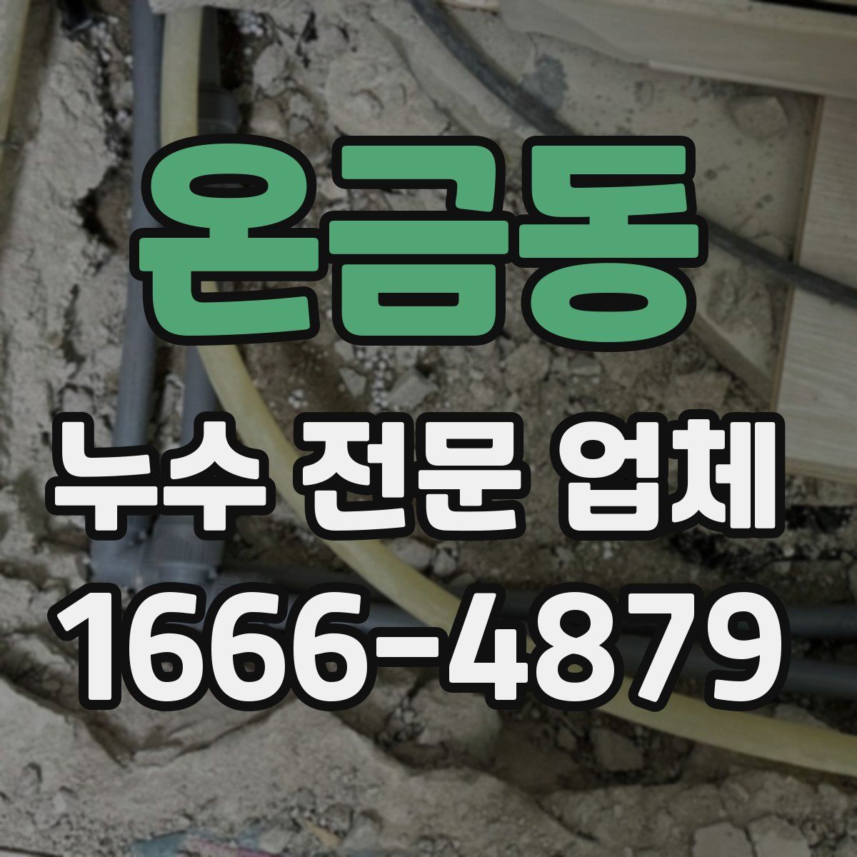 온금동 누수 전문 업체