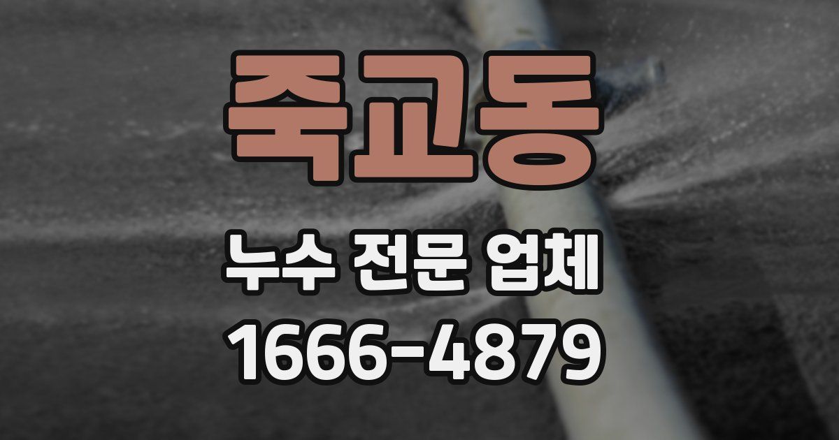 죽교동 누수 전문 업체