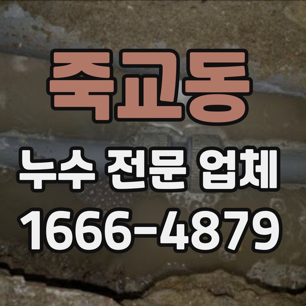 죽교동 누수 전문 업체