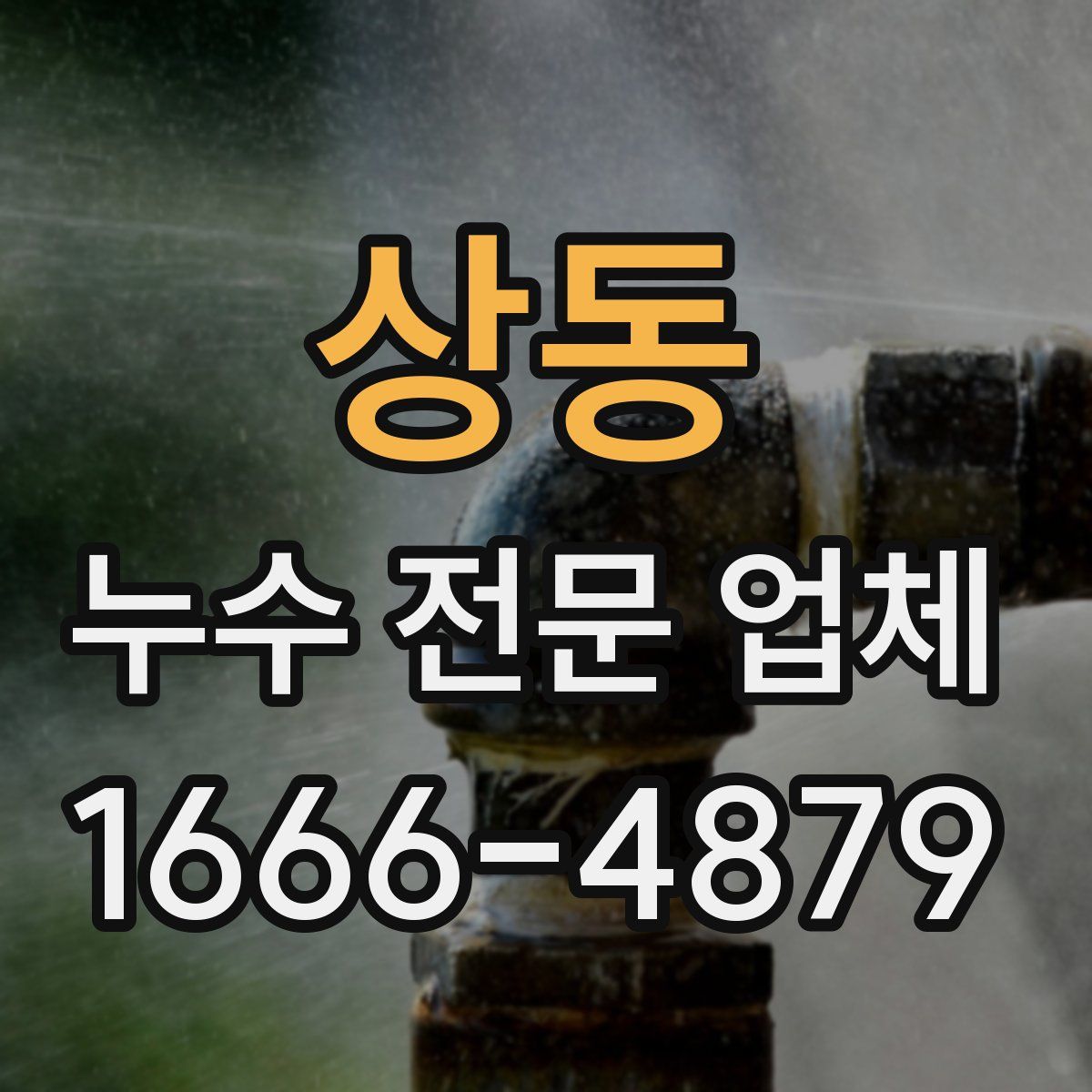 상동 누수 전문 업체