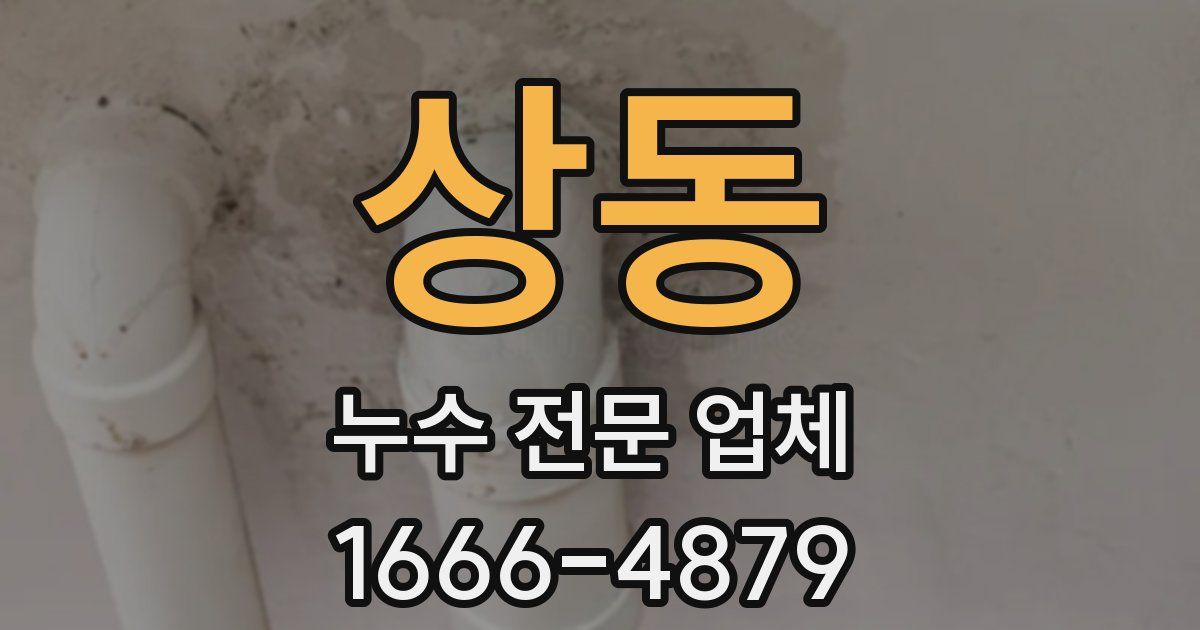 상동 누수 전문 업체