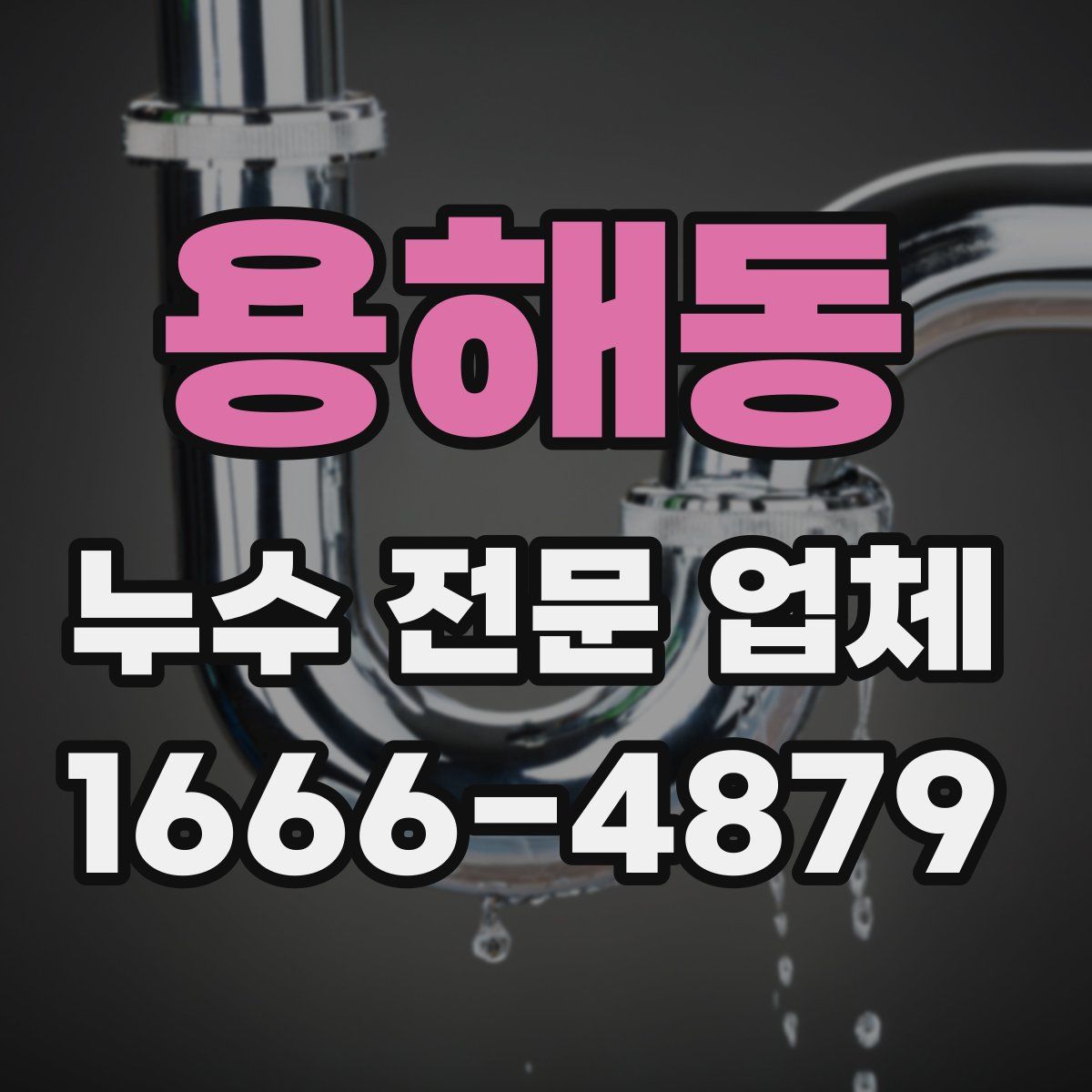 용해동 누수 전문 업체