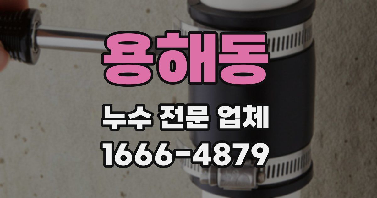 용해동 누수 전문 업체
