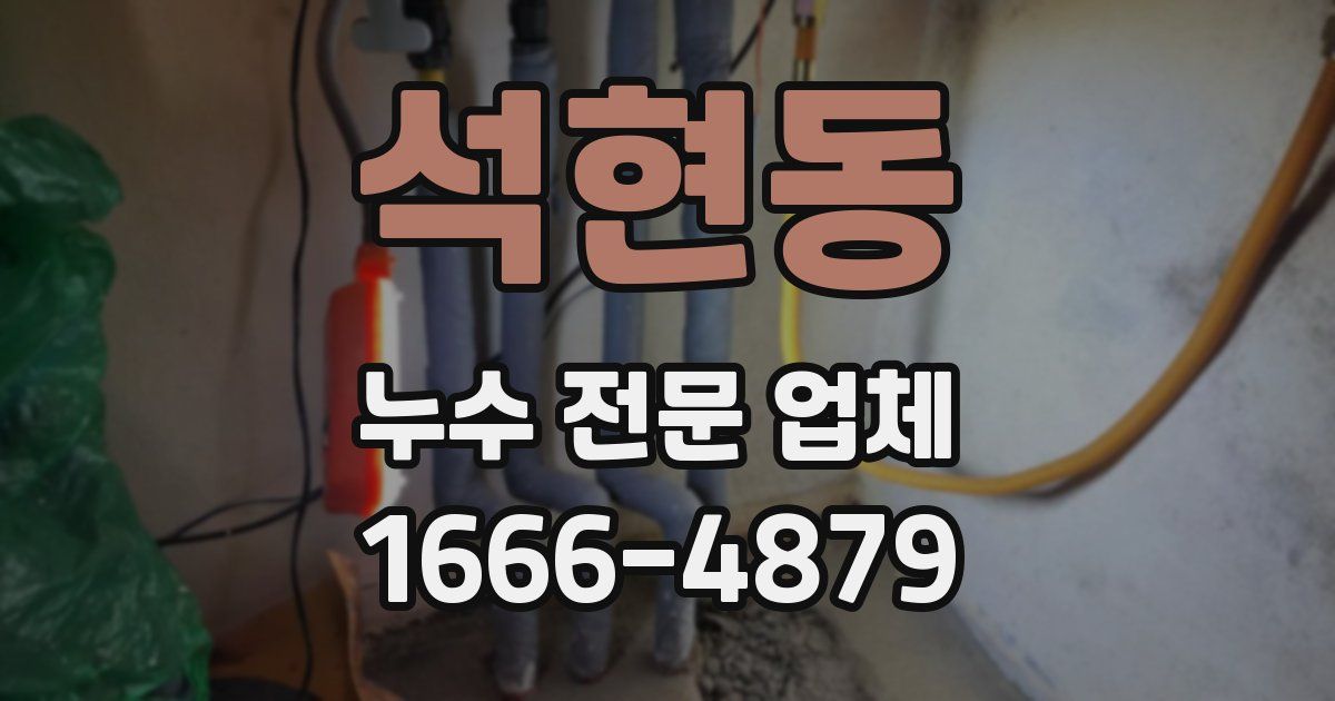 석현동 누수 전문 업체