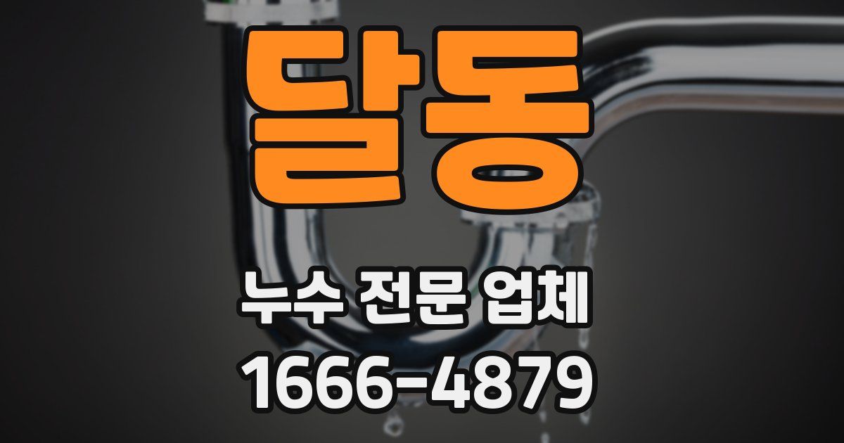 달동 누수 전문 업체
