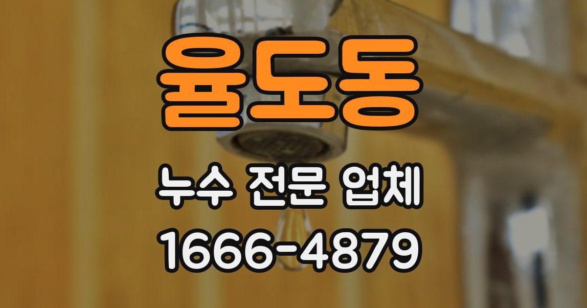 율도동 누수 전문 업체
