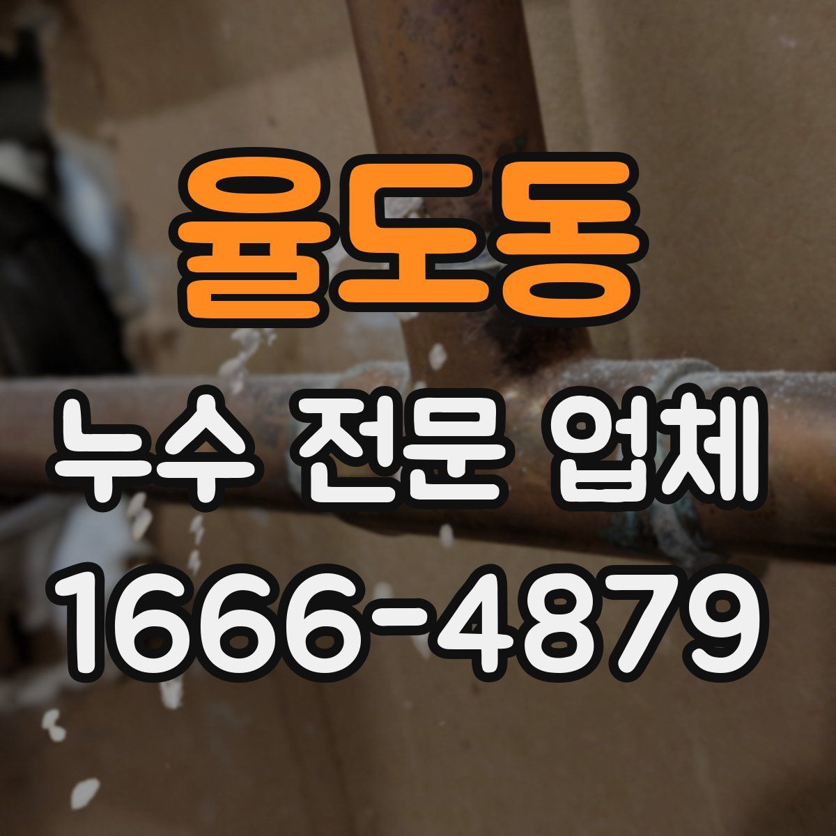 율도동 누수 전문 업체