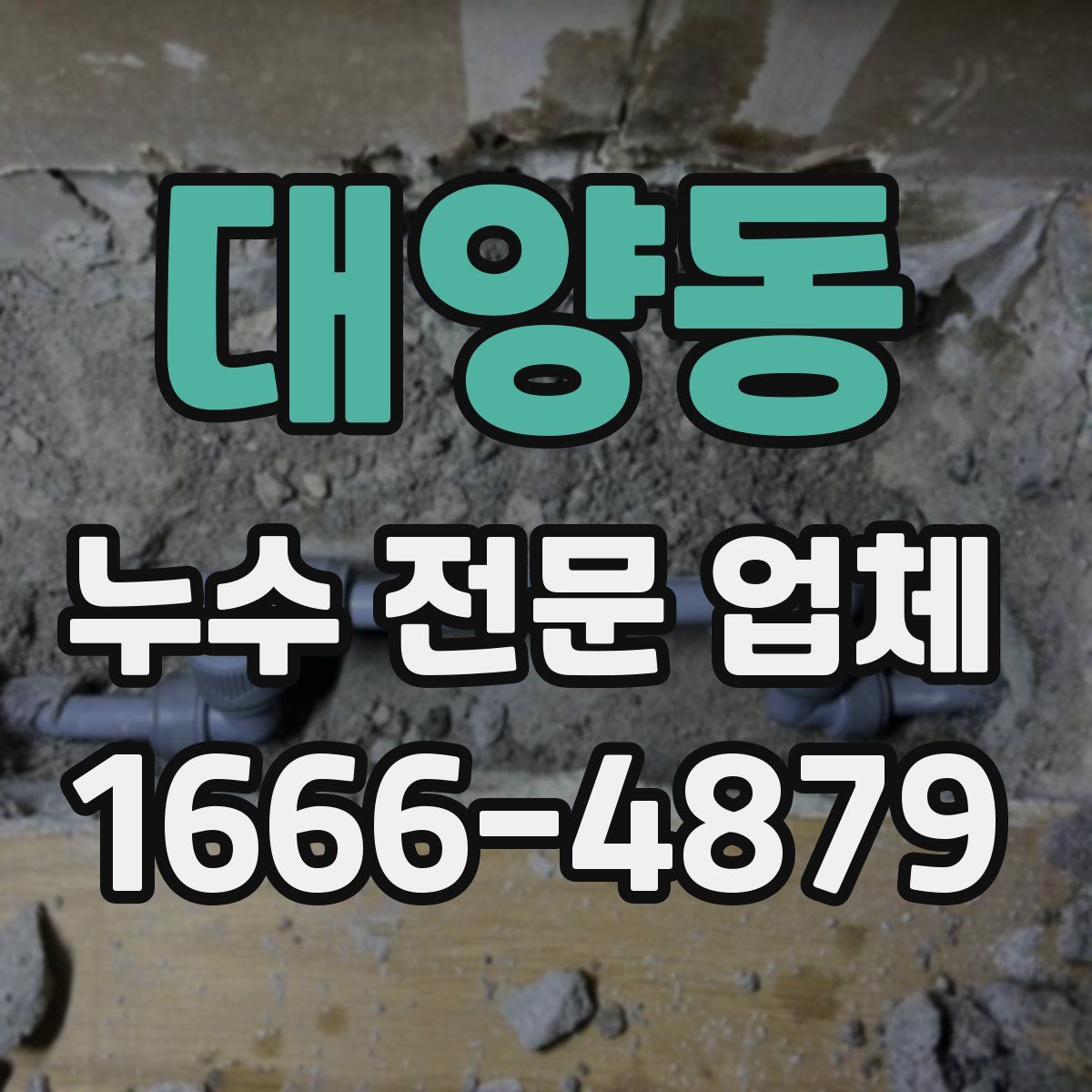 대양동 누수 전문 업체