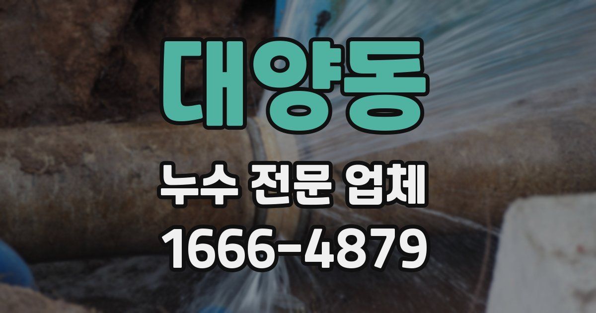 대양동 누수 전문 업체