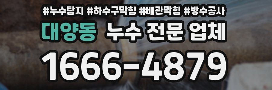 대양동 누수 전문 업체