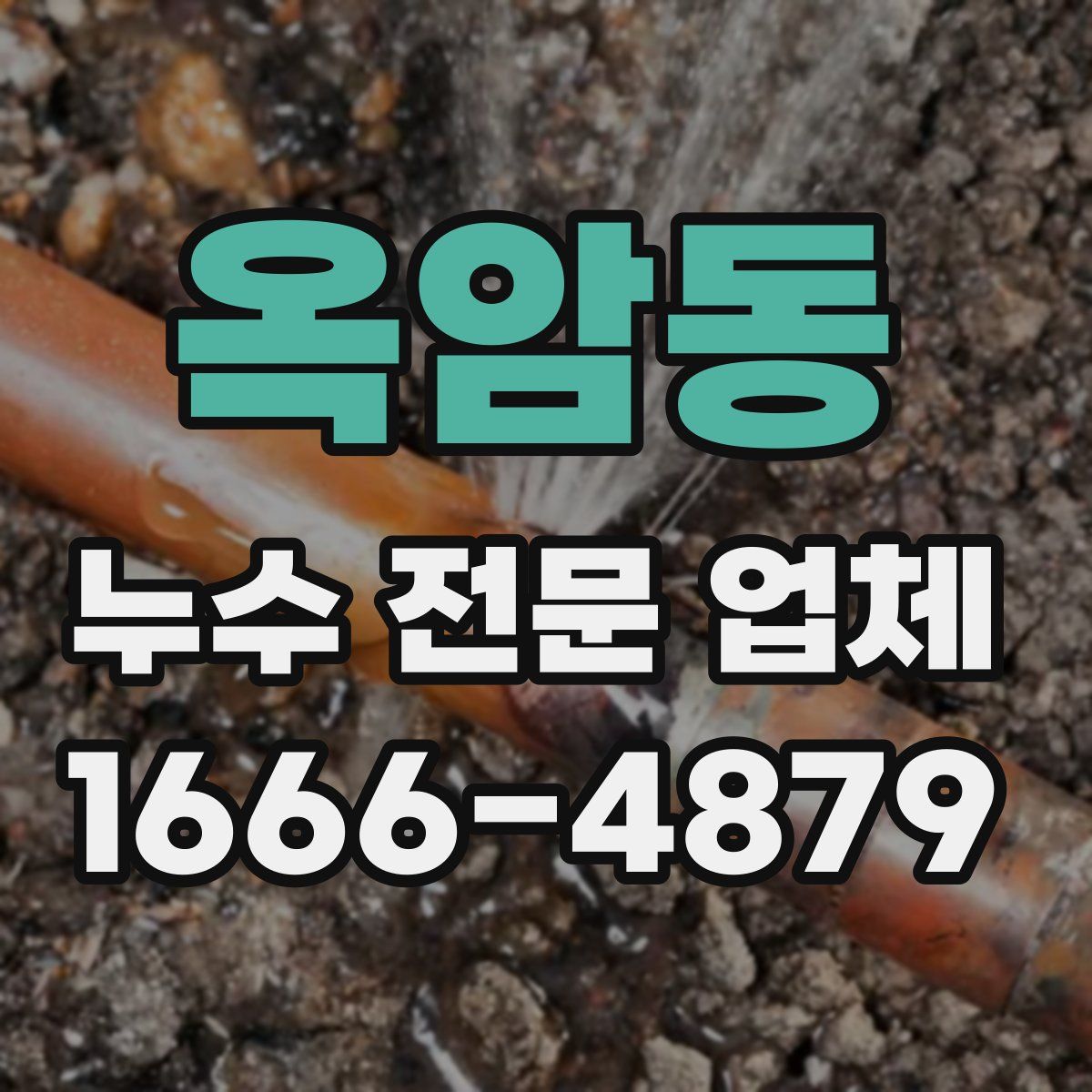 옥암동 누수 전문 업체