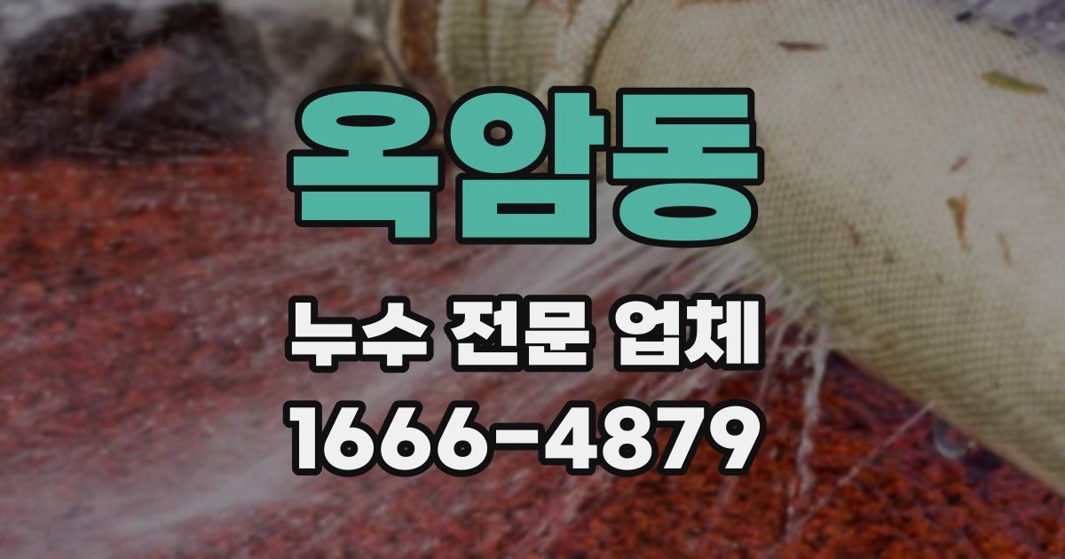 옥암동 누수 전문 업체