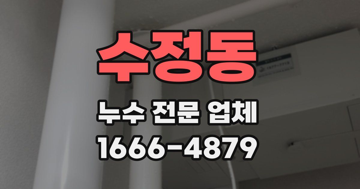 수정동 누수 전문 업체
