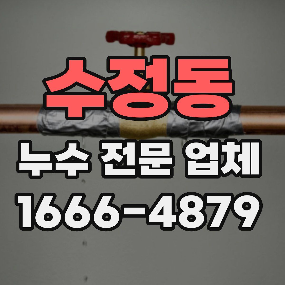 수정동 누수 전문 업체