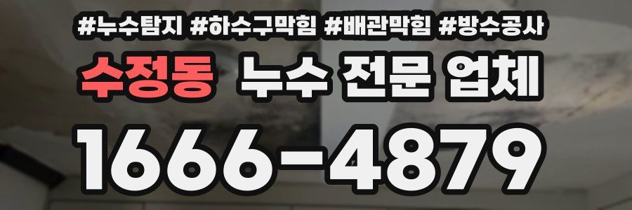 수정동 누수 전문 업체