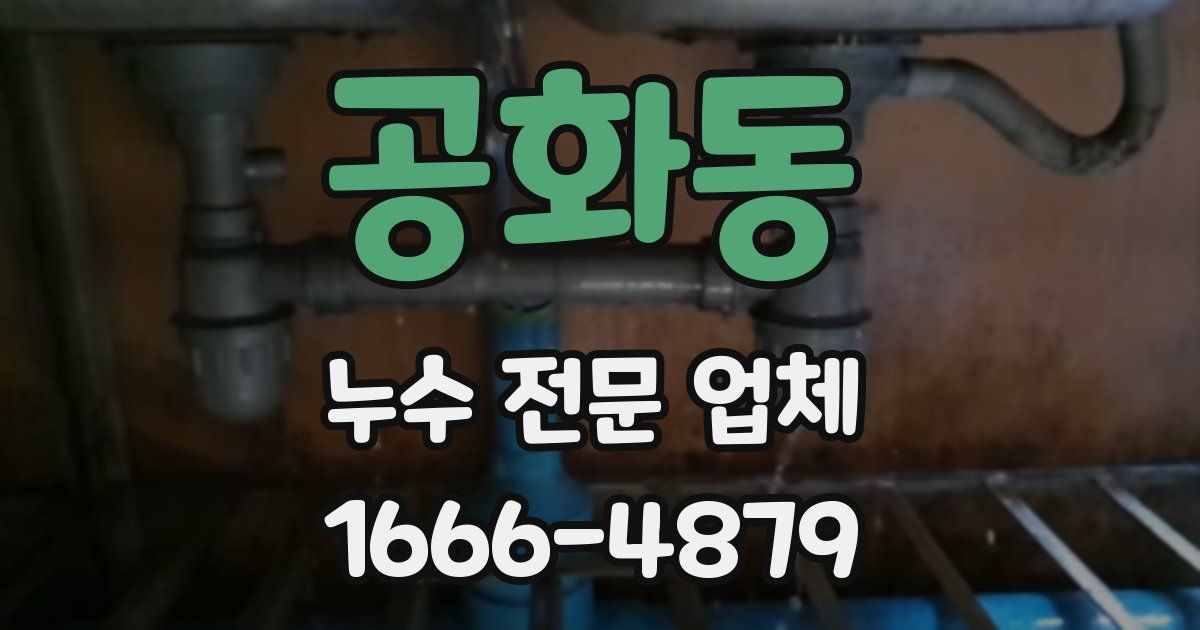 공화동 누수 전문 업체