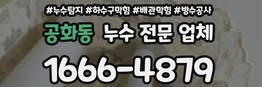 공화동 누수 전문 업체