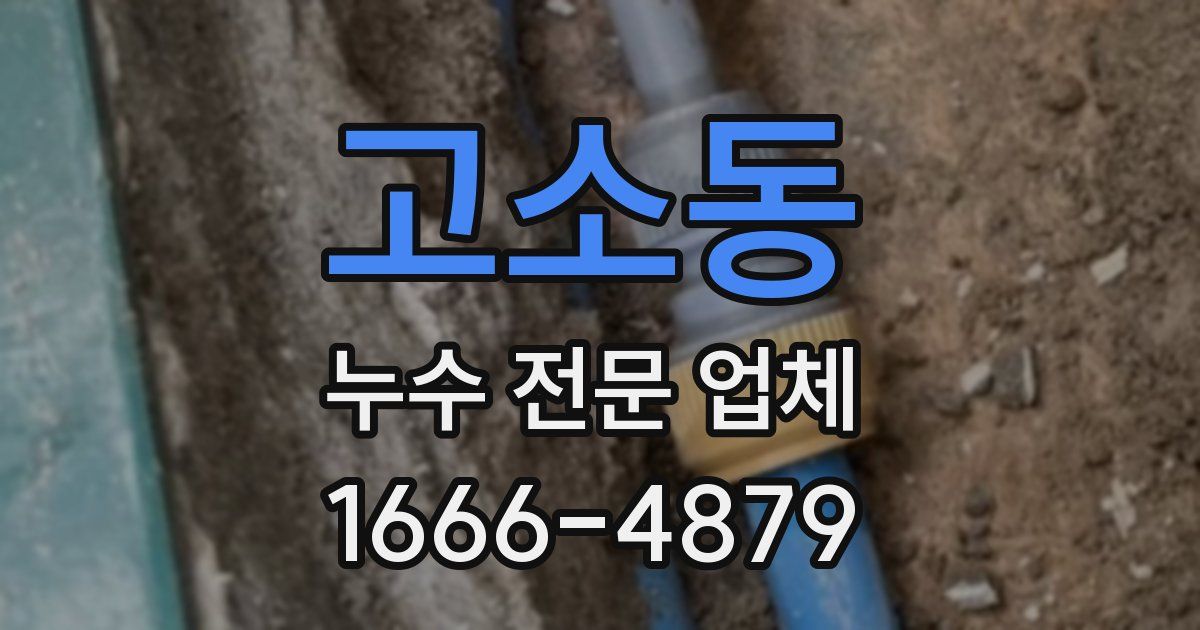 고소동 누수 전문 업체