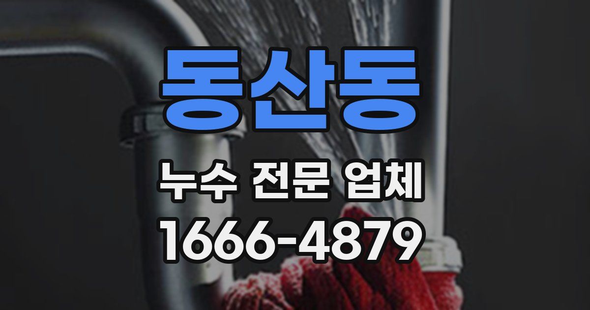 동산동 누수 전문 업체