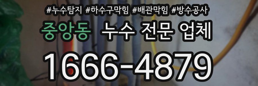 중앙동 누수 전문 업체