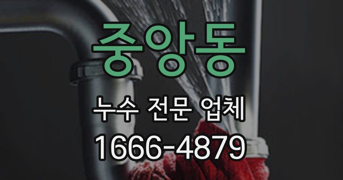 중앙동 누수 전문 업체
