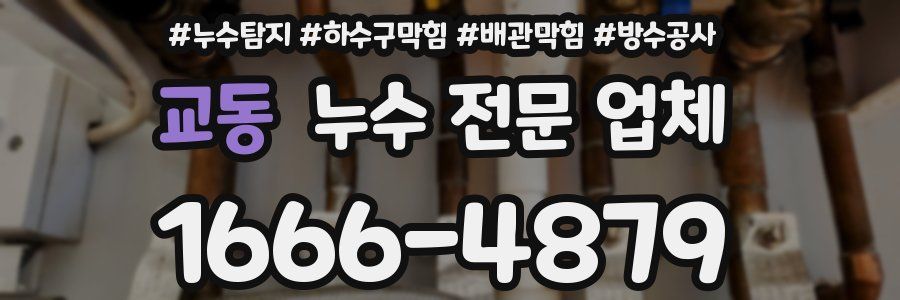교동 누수 전문 업체