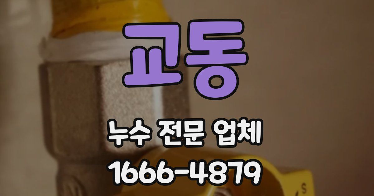 교동 누수 전문 업체
