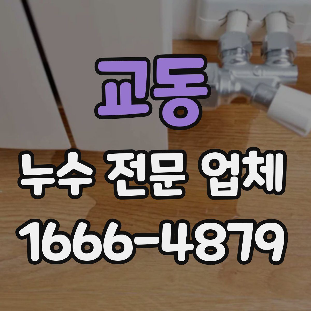 교동 누수 전문 업체