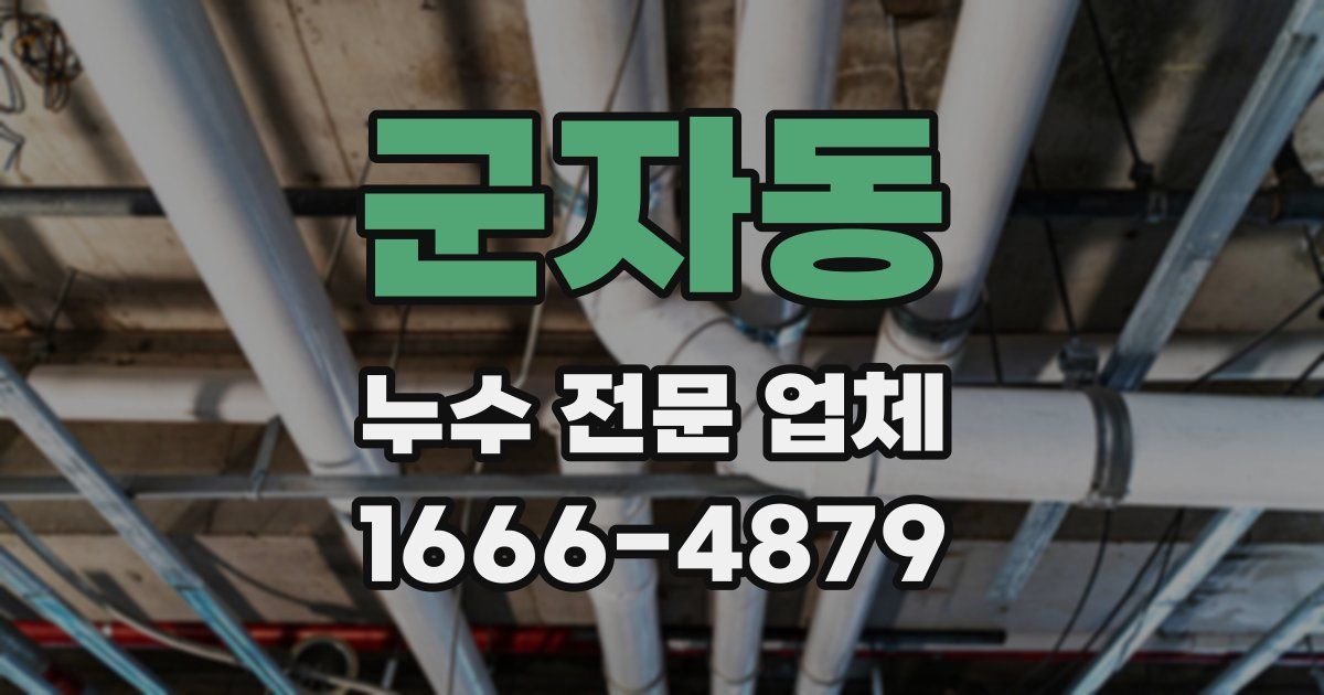 군자동 누수 전문 업체