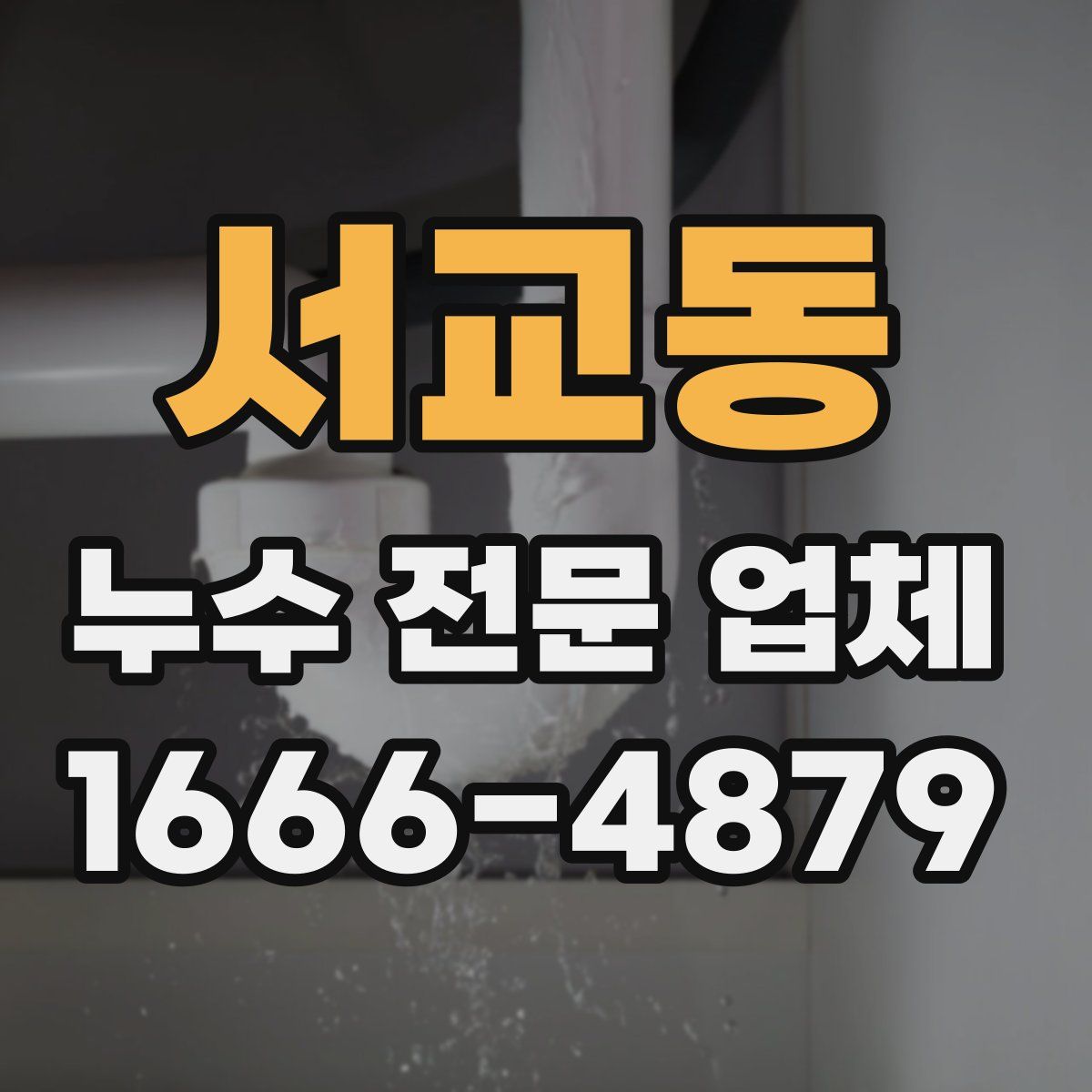 서교동 누수 전문 업체