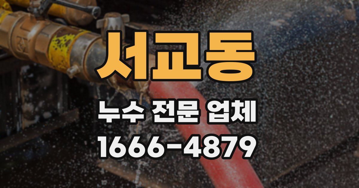 서교동 누수 전문 업체