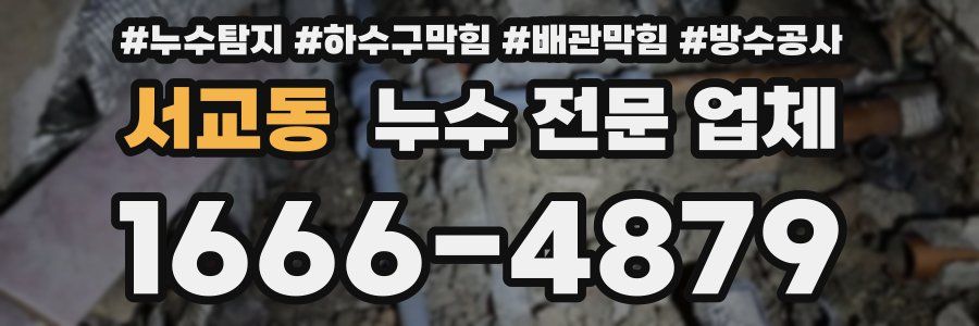 서교동 누수 전문 업체