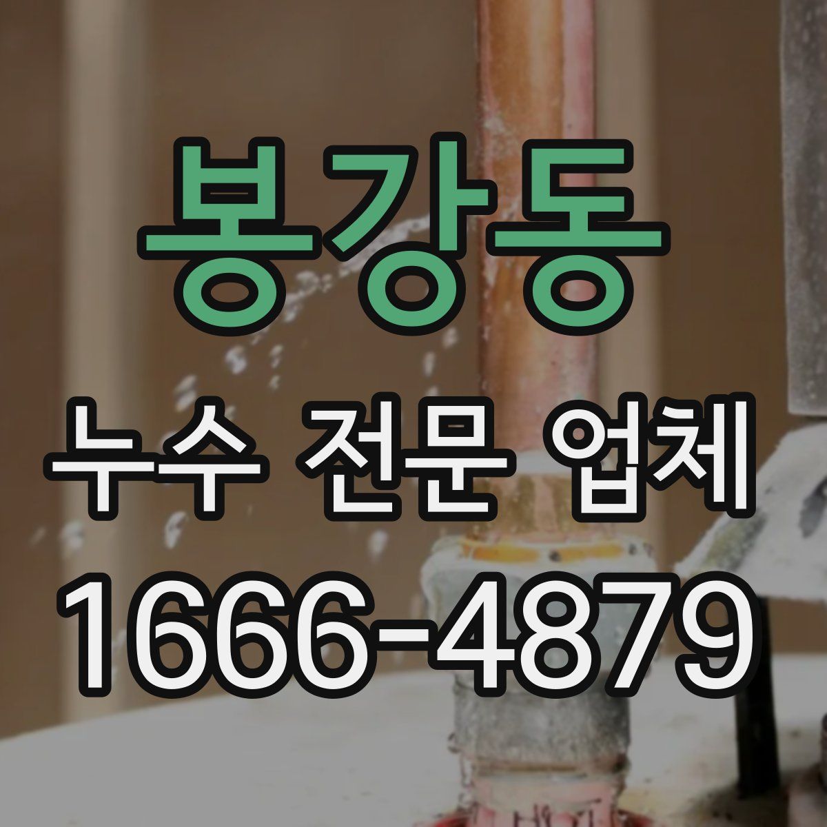 봉강동 누수 전문 업체