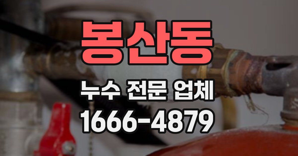 봉산동 누수 전문 업체