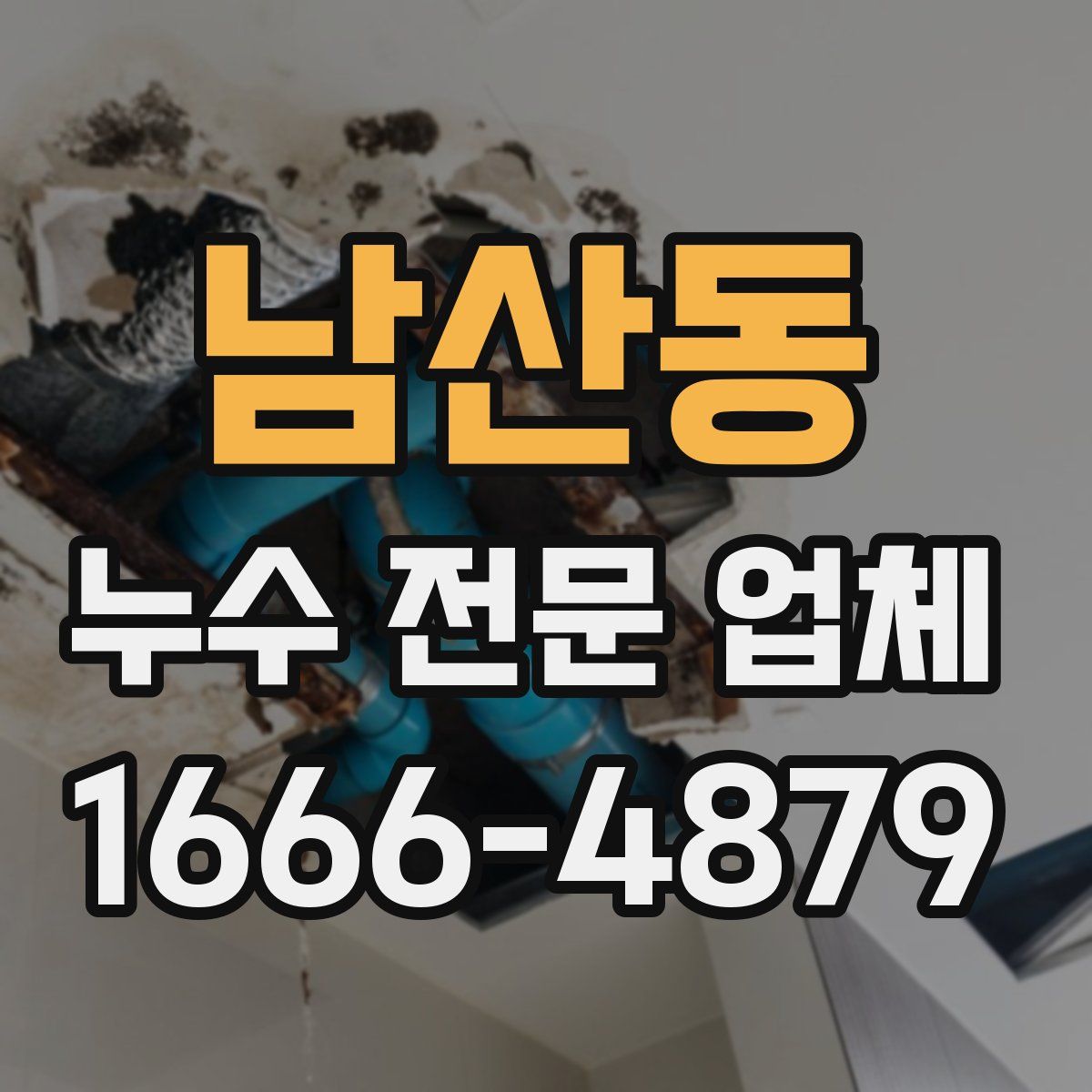 남산동 누수 전문 업체