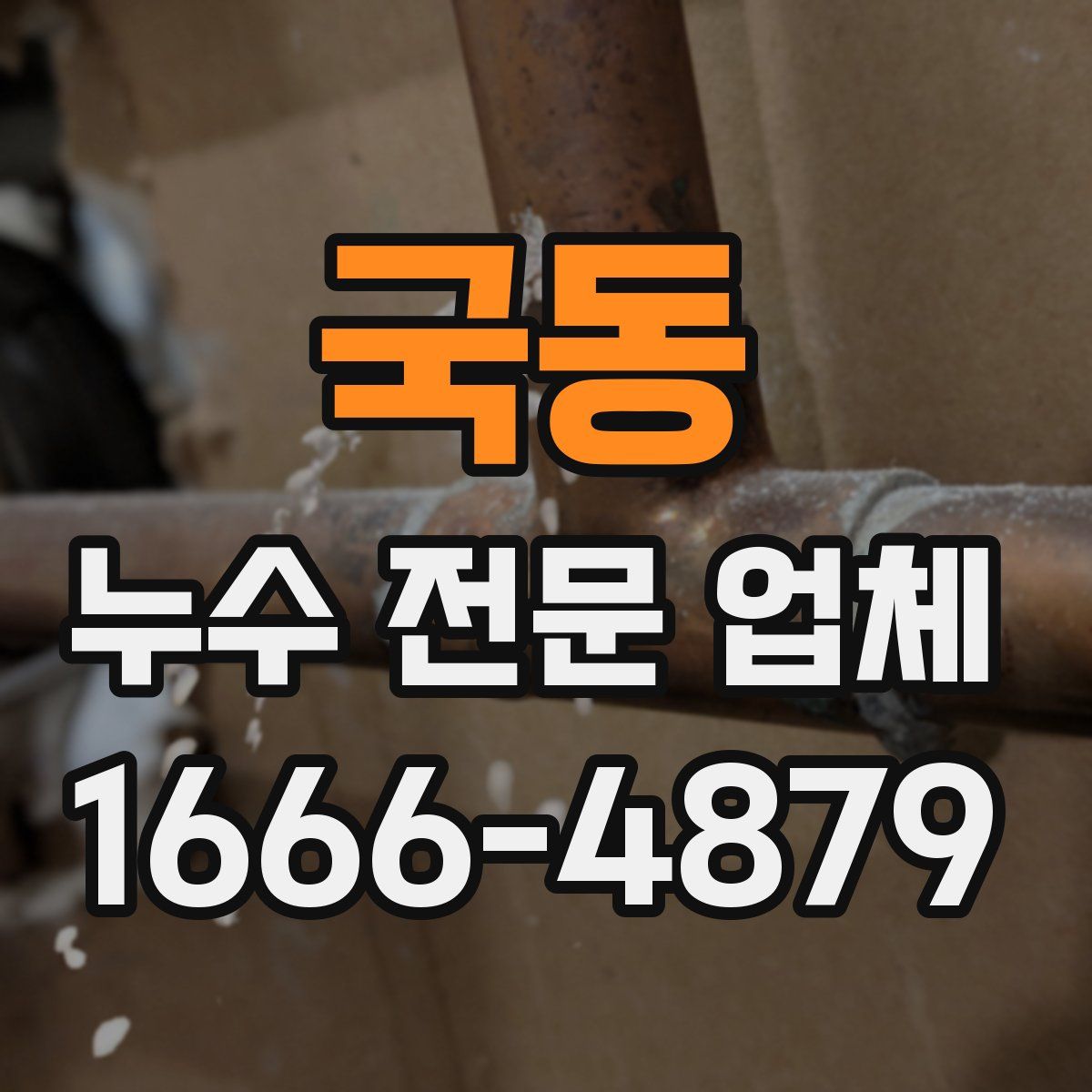 국동 누수 전문 업체