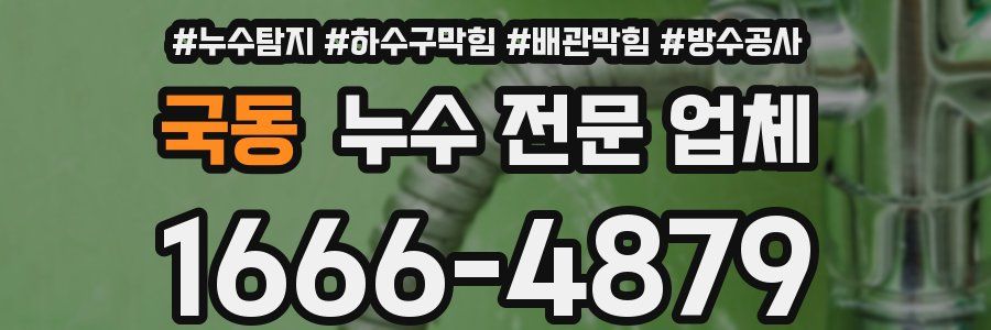 국동 누수 전문 업체