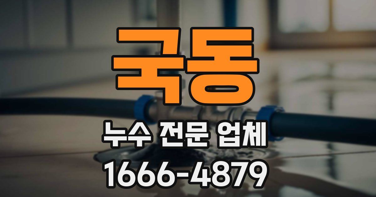 국동 누수 전문 업체