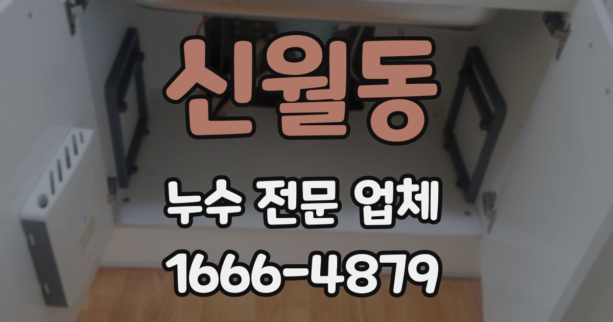 신월동 누수 전문 업체
