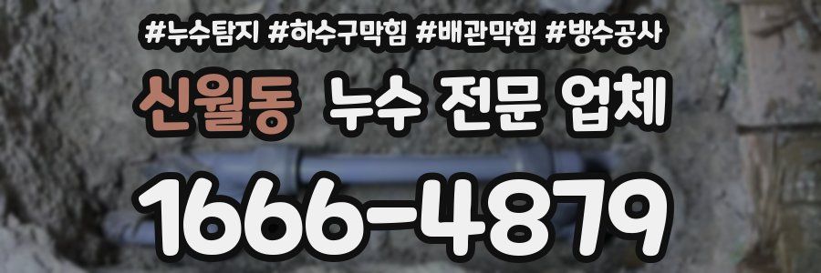 신월동 누수 전문 업체
